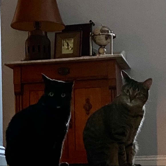 Meet your Posher, Andria - Picture 5 of 5